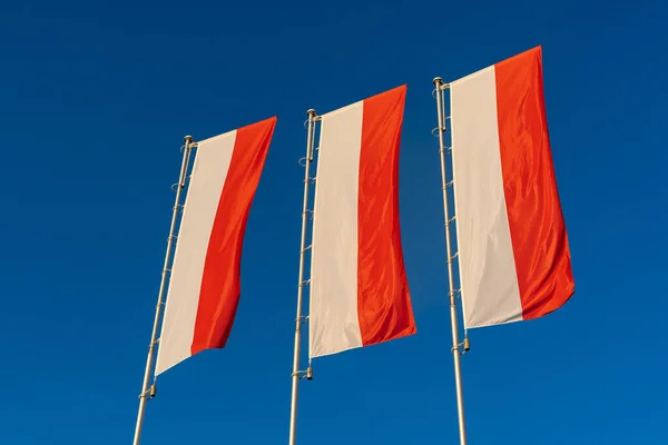 Polish Flags Blue Sky Flags Poland Wind Independence Day Celebration — Stock Photo, Image