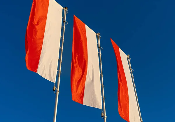 Polish flags against blue sky. Flags of Poland on the wind.Independence day celebration