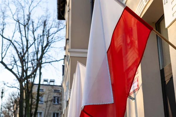 Polish flags against blue sky. Flags of Poland on the wind. Independence day celebration
