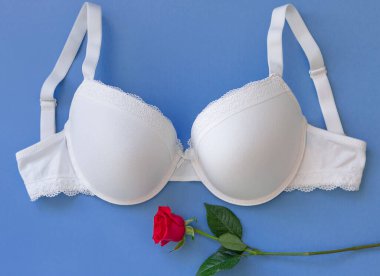 Top view white lace lingerie with red roses on green background. Set of woman essential underwear or accessory. Flat lay, beauty blog or social media minimal concept. Present for Valentines day