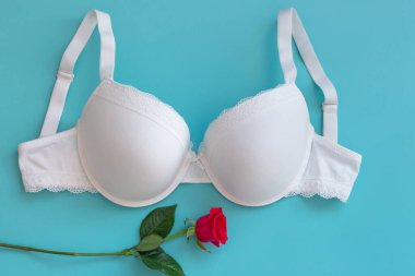 Top view white lace lingerie with red roses on green background. Set of woman essential underwear or accessory. Flat lay, beauty blog or social media minimal concept. Present for Valentines day