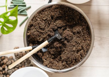 Bahçıvanlık aletleri ve evdeki saksı bitkileri masadaki klozetin içindeki toprak. Kapalı bahçe, ev bitkileri. Hobi, bitkilerle yaşam