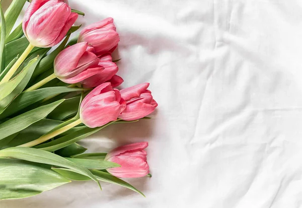 Roze Tulpen Het Bed Bovenaanzicht Van Dichtbij Plat Gelegd Bloemen — Stockfoto