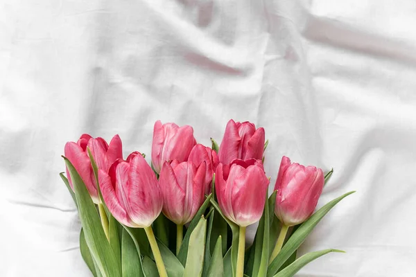 Różowe Tulipany Łóżku Widok Góry Zbliżenie Leżeć Płasko Kwiaty Dla — Zdjęcie stockowe