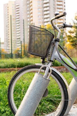 Şehir parkında kiralık bisikletler. Park yerindeki bisikletlerin sıraları. Şehir geçmişi. Kapatın. Yaz, bahar aktiviteleri. Yeni yaşam tarzı için bisikletler