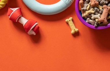 Köpekli çerçeve lastik, tekstil oyuncakları, atıştırmalıklar, turuncu arka planda kemikler. Kapatın. Köpekler için aksesuarlar