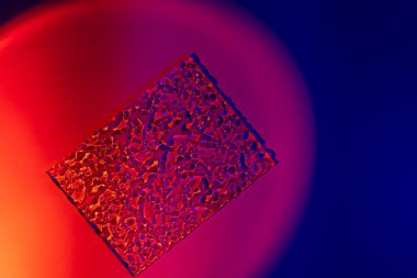 Mavi ve kırmızı gradyan ışık. Soyut arka planda, neon ışıklı palmiye yaprakları ve podyumlar. Moda geometrik şekiller. Model yap. Minimalizm, 90 'lar, 80' ler konsepti. Kapat.