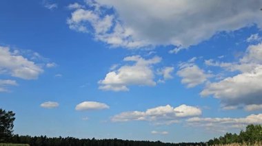 Tüylü beyaz bulutlarla dolu canlı mavi gökyüzü yemyeşil bir tarlanın üzerine uzanıyor. Manzara, doğada huzurlu bir günün özünü yakalıyor..