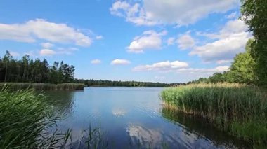 Sakin bir su kütlesi, yumuşak bulutları ve uzun otlar ve ağaçlar tarafından çerçevelenmiş canlı bir gökyüzünü yansıtır ve öğleden sonra ışığı altında doğada huzurlu bir kaçış yaratır..