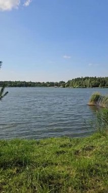 Yeşillik ve ağaçlarla çevrili sakin bir göl manzarasının tadını çıkar. Açık mavi gökyüzü sakin atmosferi güçlendirir, rahatlamayı ve yansımayı davet eder..