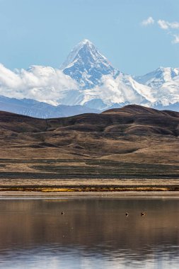 Arkasında bir göl olan güzel bir manzara.