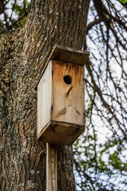 Parktaki ahşap kuş evi.
