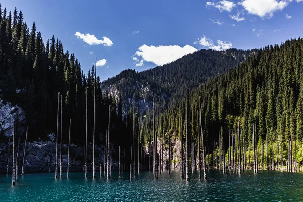 Hermoso Paisaje Con Lago Montañas Fotos de stock