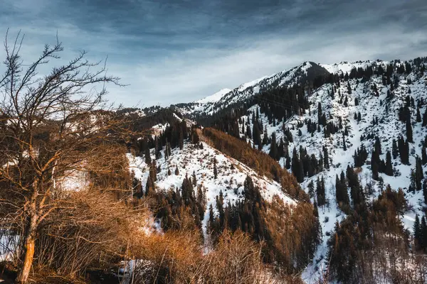 Hermosa Vista Las Montañas Almaty Fotos de stock libres de derechos