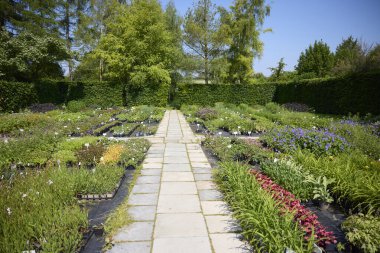 Çiçekler ve bitkiler dışarıda, Bahçe Merkezi 'nde yetişiyor.