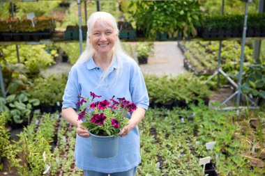 Emekli Yaşlı Kadın Portresi Yarı zamanlı Bahçe Merkezi 'nde Sera Tesisleri ya da Polytunnel' de çalışıyor.