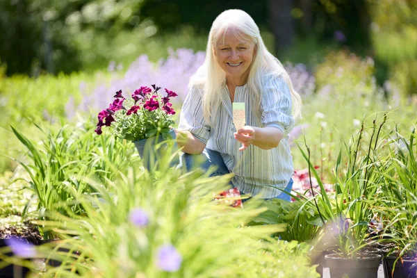 Seniorin Gartencenter Wählt Pflanze lizenzfreie Stockfotos
