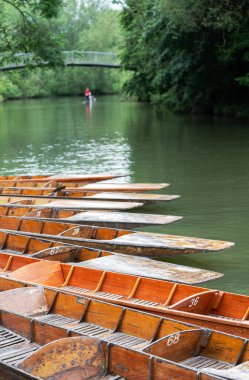 Oxford İngiltere 'sindeki Cherwell Nehri' nde Tahta Yumruklar atan Turistler