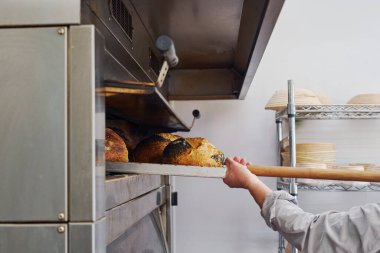 Erkek fırıncının fırında kürekle fırından ekşi ekmek çıkarmasına yakın çekim