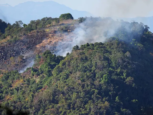 थाईलैंड, एशिया के उत्तर में चियांग माई में सूखे मौसम में दिन के दौरान पहाड़ पर काले धूम्रपान के साथ वन आग — स्टॉक फ़ोटो, इमेज