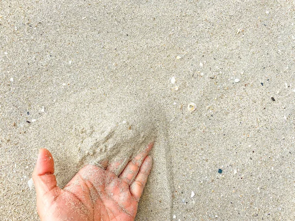 손가락을 모래와 여자의 손바닥의 해변에 해변에 조개와 배경을 인간의 — 스톡 사진