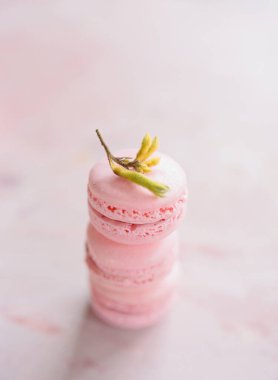 Yumuşak pembe makaronlar dikkatlice istiflenir, her biri üzerinde duran hassas yeşil bir filiz ile süslenir. Bulanık arka plan tatlı severler için sakin ve davetkar bir ortam yaratır..