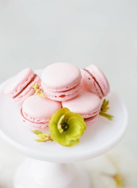 Renkli kurabiyeler taze çiçeklerle çevrili beyaz bir pasta standında güzel bir şekilde sergilenir. Dekor yumuşak bir pastel renk paleti içeriyor ve tatlı ziyafeti için davetkar bir ortam yaratıyor..