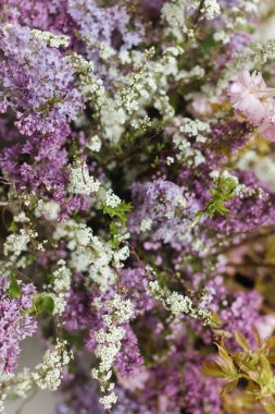 Yaban çiçeklerinin canlı bir koleksiyonunda mor, beyaz ve pembe renkler yer alır. Parlak çiçekler bahçede canlı bir atmosfer yaratır. Sıcak güneş ışığının tadını çıkarırlar..