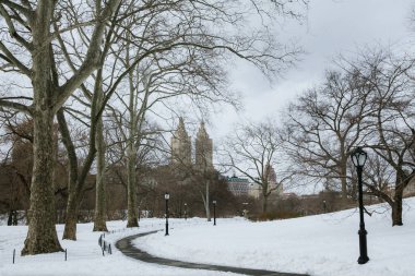 Çıplak ağaçlarla çerçevelenmiş, karlı Central Park 'ta rüzgarlar esiyor ve uzak tarihi binalar sergileniyor..