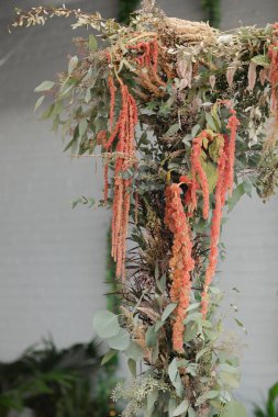 Sarkık portakal çiçekleri zarif bir şekilde dikey bahçeye asılır. Yeşil yapraklar çiçeklerin etrafını sarar, yumuşak öğleden sonra ışığında canlı bir vaha yaratır, sakin atmosferi güçlendirir..