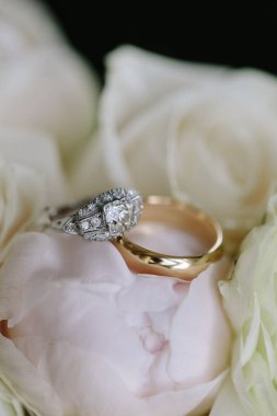 Güzel alyanslar, narin gül yapraklarının üzerinde parıldar. Samimi bir anda aşkı ve birlikteliği simgeler..