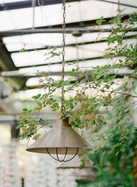 Kırsal bir kolye zincirden sarkan parlak yeşil yapraklarla sarkıyor..