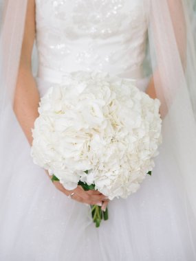 Güzel beyaz gelinlikli gelin, özel gününde zarif ve neşe saçan yuvarlak bir ortanca buketi taşıyor..