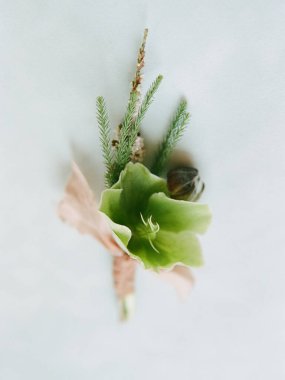 Yeşil çiçekleri, yemyeşil filizleri ve yumuşak arka planda şeritleri olan yaratıcı çiçek tasarımı etkinlikler için mükemmeldir..