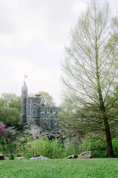 Bir taş kale gururla duruyor yemyeşil ve uzun bir ağacın arasında baharda doğanın güzelliğini sergiliyor..