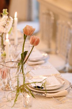 Bir yemek masası pembe lalelerle süslenir. Zarif cam eşyalar ve mumlarla. Sıcak bir atmosfer yaratır..