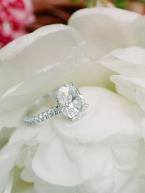 Pırıl pırıl pırıl pırıl pırıl bir elmas yüzük açık havada yemyeşil bir çiçekle çevrili yumuşak beyaz bir çiçeğin üzerinde durur..