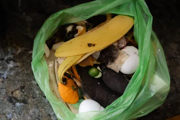 Muz kabukları, yumurta ve sebze artıkları gibi organik atıklar evde gübrelemek için yeşil bir torbada toplanır..