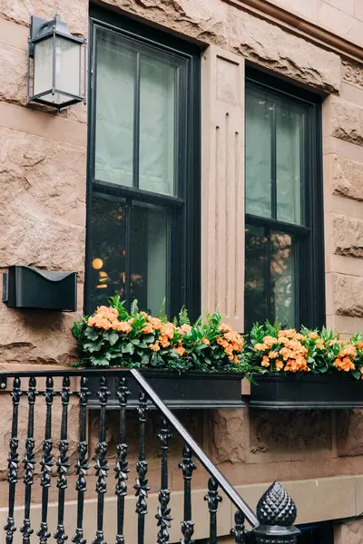 Canlı portakal çiçekleri hareketli bir şehirde kahverengi taştan bir binanın dış görünüşünü güzelleştirir..