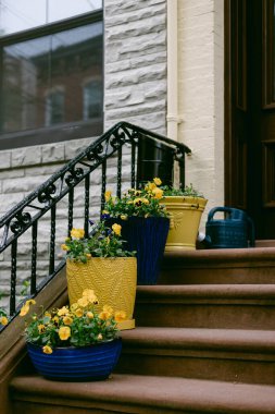 Sarı çiçeklerle dolu renkli tencereler kumtaşının basamaklarında güneşli bir günde girişe cazibe katıyor..