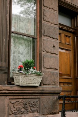 Canlı çiçekler, klasik ahşap bir kapı ve dekoratif pencere perdelerinin yanındaki binanın dış yüzeyini parlatır..