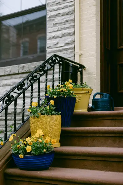 Sarı çiçeklerle dolu renkli tencereler kumtaşının basamaklarında güneşli bir günde girişe cazibe katıyor..