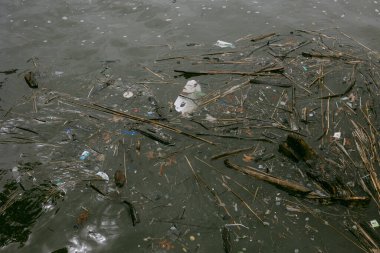 Plastik atıklar ve doğal atık, şehir ortamında bir nehrin yüzeyinde yüzerek çevresel sorunları vurgular..