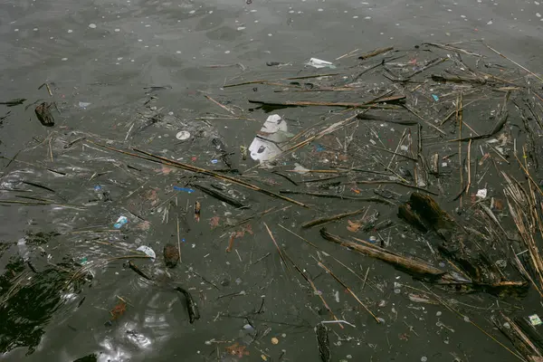 Plastik atıklar ve doğal atık, şehir ortamında bir nehrin yüzeyinde yüzerek çevresel sorunları vurgular..