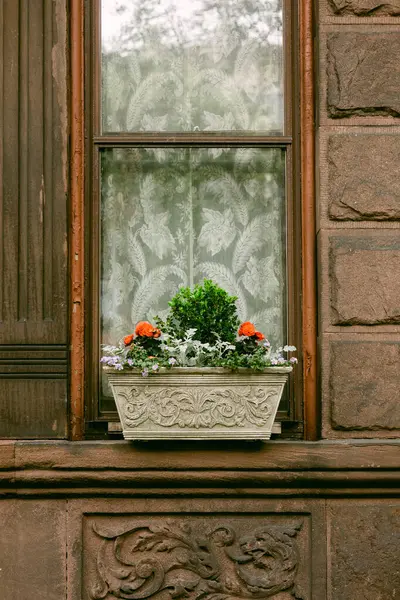 Dekoratif pencere kutusundaki renkli bitkiler eski bir binaya cazibe katıyor, bahçe ve mimariyi kutluyor..