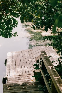 Sakin bir ahşap rıhtım, berrak bir günde canlı yeşil yapraklarla çerçevelenmiş sakin suların üzerine uzanır..
