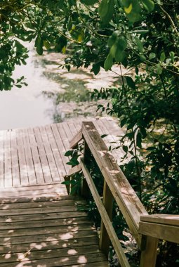 Canlı yeşilliklerle çevrili sakin sulara doğru inen ahşap bir patika huzurlu bir açık hava ortamı yaratır..