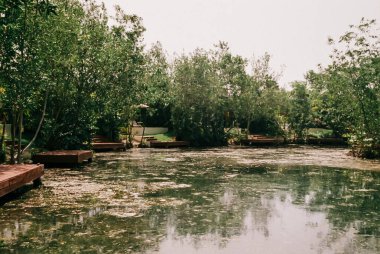 Su yeşilliği yansıtırken, ahşap rıhtım huzurlu bir park ortamında dinlenme noktaları sağlar..