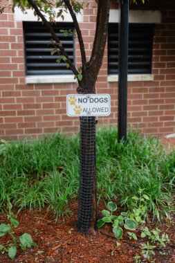 Tuğla binanın yanındaki peyzaj alanındaki ağaçta köpeklere izin verilmeyen bir tabela asılıyor..