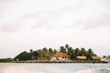 Güneş sulara bakan sakin bir adada batarken palmiye ağaçları görkemli bir şekilde sallanıyor..